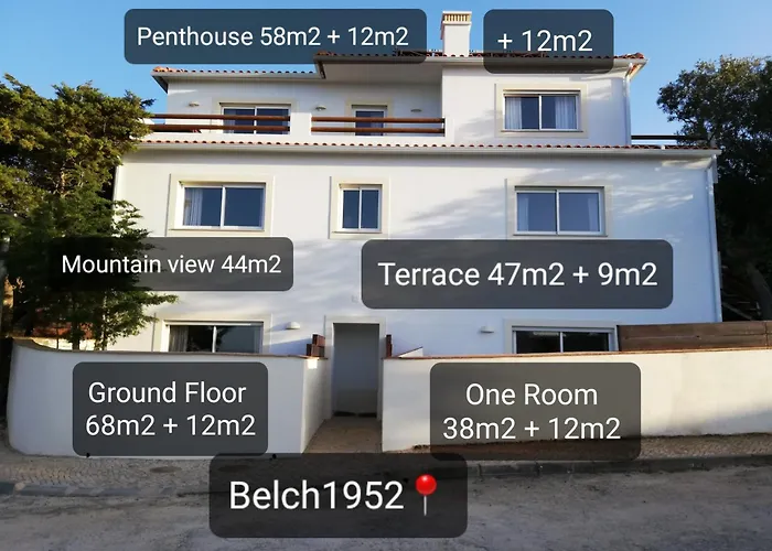 Belch1952