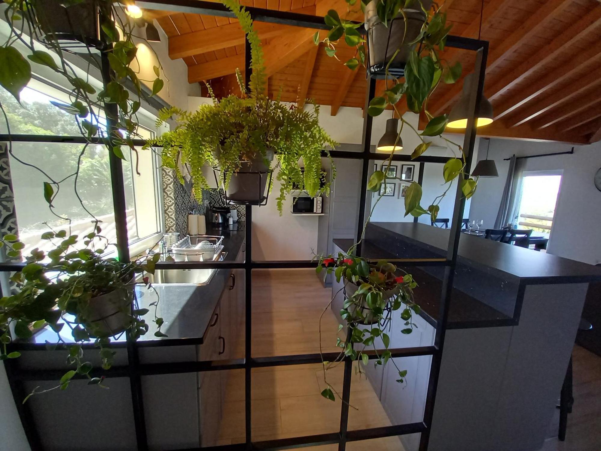 Belch1952 Apartment